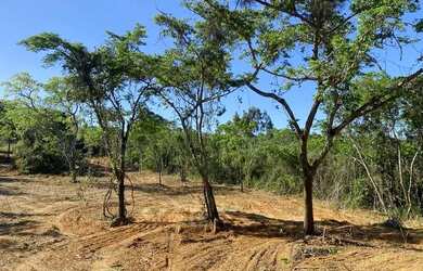 Imagem: Lotes de 1.100 metros na Serra do Cipó