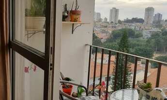 Imagem 6: Apartamento VILA MAFRA SAO PAULO SP Brasil