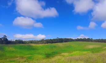 Imagem 4: Vista privilegiada