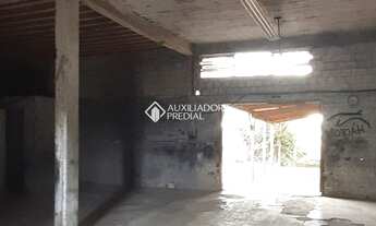 Imagem 6: NOVO HAMBURGO - Galpão/Depósito/Armazém - Rondônia