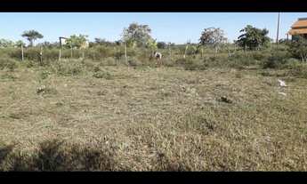 Imagem: Vendo terreno 10x30 em Barreirinhas