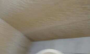 Imagem 3: Alugo uma casa Casa com 2 dormitórios