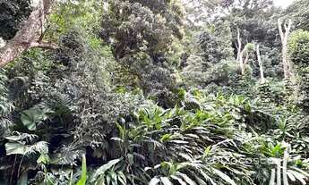 Imagem 4: Charmoso apartamento com vista verde