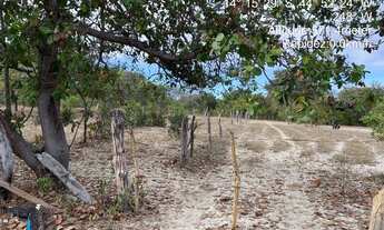 Imagem 4: Fazenda Barra dos Coqueiros Côcos Bahia