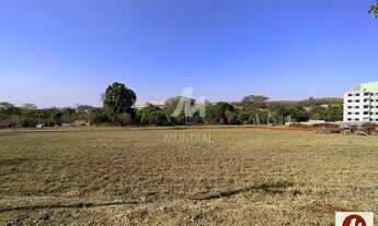 Imagem: Terreno (terreno normal