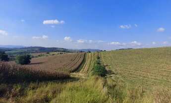 Imagem: Lote/Terreno para venda possui 500 metros