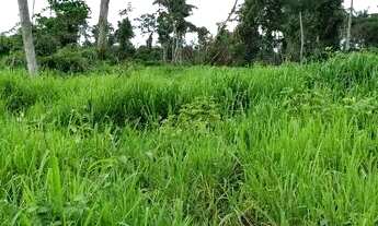 Imagem 5: Fazenda com 100 Alqueires sendo 35 de pasto