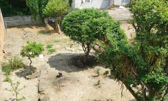 Imagem 4: Terreno - Vila Gustavo - 540m²