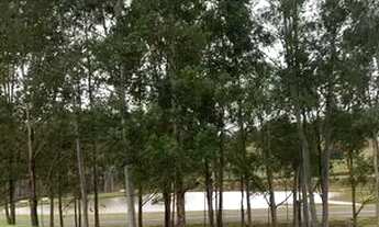 Imagem 4: Lote fundo para os lagos - Oportunidade!