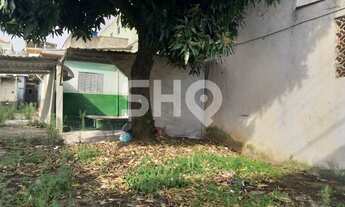 Imagem: TERRENO NA CASA VERDE - 336 M2 - 8,00 X