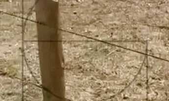 Imagem 2: Terreno à venda Amoraeville