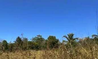 Imagem 7: Fazenda 2.385 alqueires em Mirassol doeste com 2.000 alq abertos 70 milhoes.MT