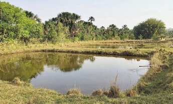 Imagem: Sítio 2,0 alqueires, muita água, entre