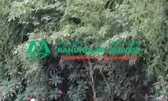 Imagem 6: R$ 880.000,00 - Granja Cristiana