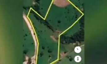 Imagem 2: Vende se linda chácara com 68 mil metros toda formada em alexania go 11 km da cidade