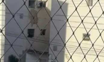 Imagem: Aluga - se / Divisão de apartamento