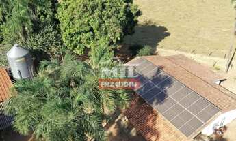 Imagem 6: Fazenda 14.5 Alqueires (70.17 Hectares) Palmeiras de Goiás - GO