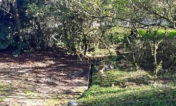 Imagem 7: Terreno à venda, 4600 m² por R$ 2.200.000,00 - Ratones - Florianópolis/SC