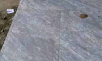 Imagem 11: Vendo Casa escriturada e registrada