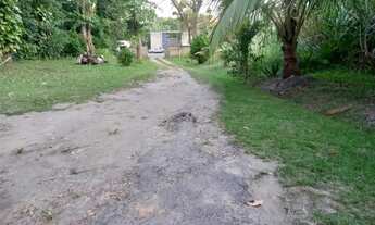 Imagem 5: 0 - Terreno - GUARATIBA