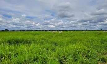 Imagem 7: FAZENDA COM 6.135HA NA REGIÃO DO RIO CUIABÁ RICA EM ÁGUAS