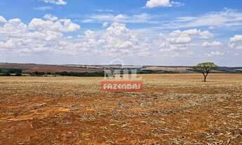 Imagem: Fazenda 13 alqueires (62 hectares) Anápolis