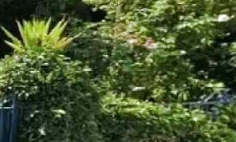 Imagem: Terreno À Venda No Tatuapé