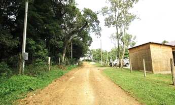 Imagem 5: Chácara à venda Bairro Contenda em São José dos Pinhais