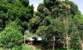 Imagem: Sítio com 3 quartos à venda, 280000 m²