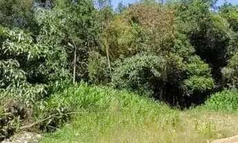 Imagem 6: Chácara à venda, com 70153 m2, em SAO JOSE DOS PINHAIS - PR