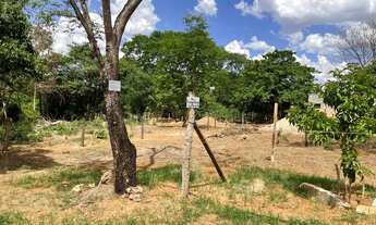 Imagem 4: Terreno limpo , barato e bem localizado de 220 metros quadrado