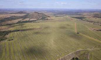 Imagem 4: Fazenda extra a venda no Goiás!!