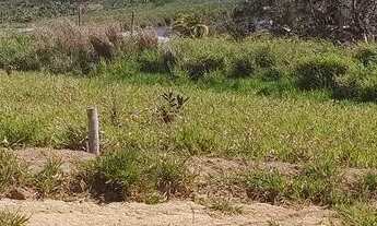 Imagem 3: Lote Marataízes