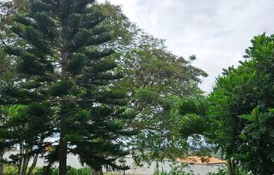 Imagem: Vendo casa de campo em gravata