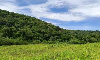 Imagem: Terrenos para Chácara em Ibiúna com Excelente