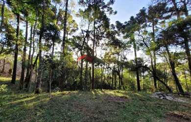Imagem 5: Casa em R Quatro - Água Santa - Campos do Jordão/SP
