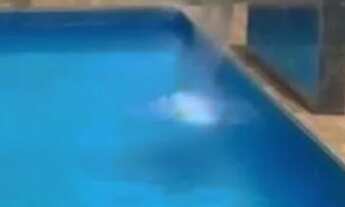 Imagem 2: Chácara para eventos aluguel Veiga Jardim Aparecida de Goiânia - Linda!