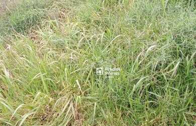 Imagem 3: Terreno à venda, 644 m² por R$ 220.000,00 - Suíço - Nova Friburgo/RJ