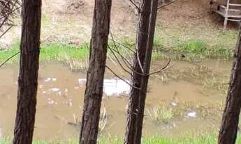 Imagem 2: Fazenda/Sítio/Chácara para venda com 192000 metros quadrados com 3 quartos