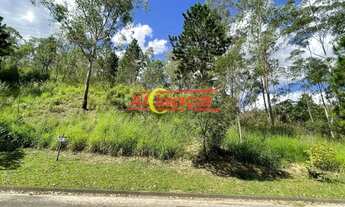 Imagem 5: Lindo terreno de 1200m em condomínio fechado