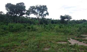 Imagem 2: 33 Alq. de Cultura em Jandaia-GO. Preço Bom!