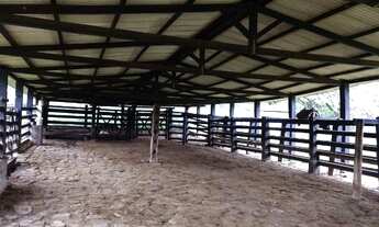 Imagem 7: Fazenda De Gado, 1100 Ha, C/ Cachoeira, Munic. Itapetinga-ba