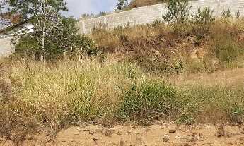 Imagem 6: Melhor lote no Jardim Europa em Poços de Caldas/MG - 840m2