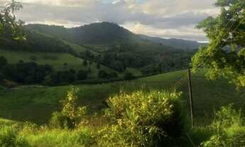Imagem 2: Vendo Fazenda Em Teolândia oportunidade