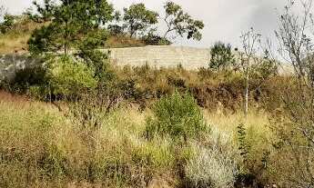 Imagem 4: Melhor lote no Jardim Europa em Poços de Caldas/MG - 840m2