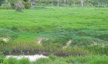 Imagem: Fazenda/Sítio/Chácara para venda com 127