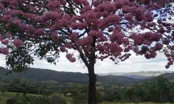 Imagem 7: Fazenda Município de Heitorai - Go<br>22 Alqueires