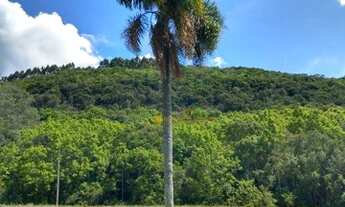 Imagem 3: Sítio à venda, 21860 m² por R$ 836.000,00 - Vale das Colinas - Gramado/RS