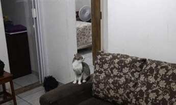 Imagem 2: Vila Velha - Apartamento Padrão - Boa Vista 2