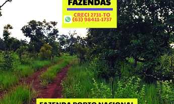 Imagem 5: Fazenda em Luzimangues
